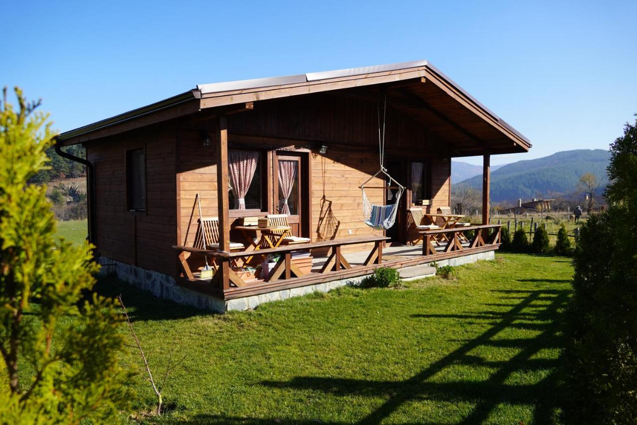 Hotel Orbel Dobriniste Kültér fotó