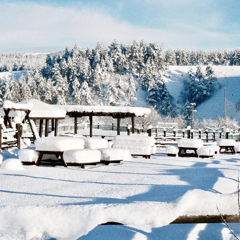 Hotel Orbel Dobriniste Kültér fotó